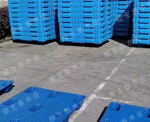 塑料托盘 (5)