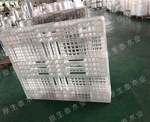 单个塑料托盘 (11)