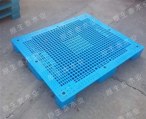 单个塑料托盘 (10)